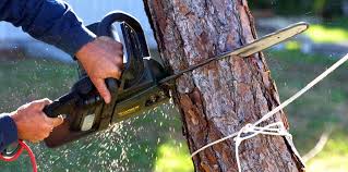 Best Utility Line Clearance  in Mill Valley, CA